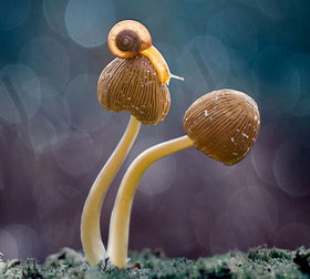 安全支付保障的DDOS攻击平台